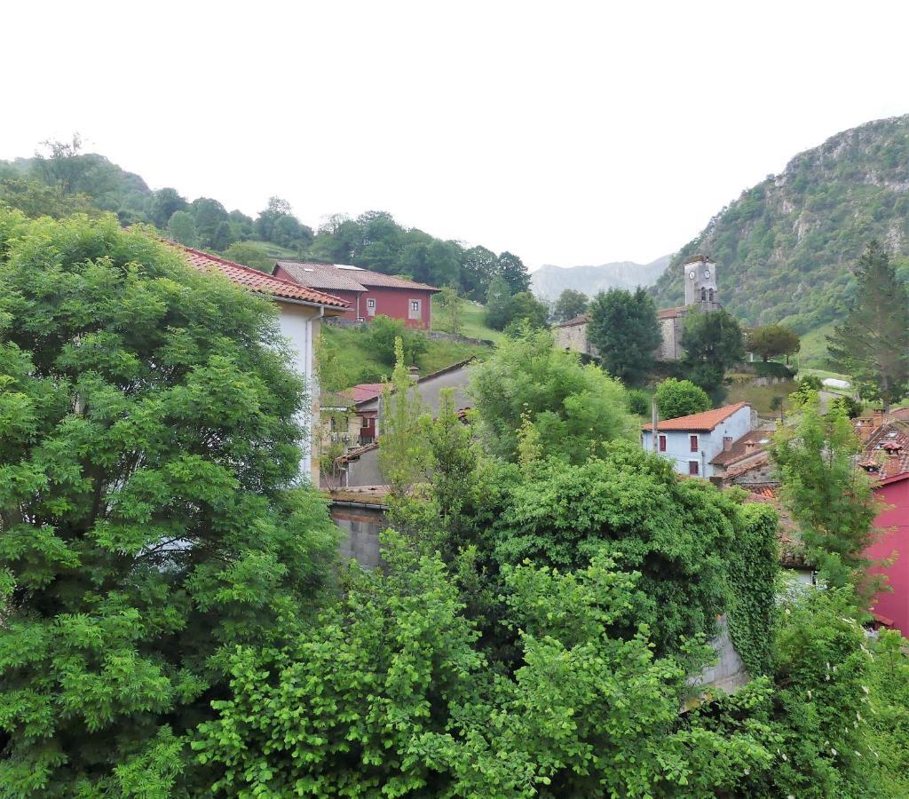 Cabrales Sol Apartment Carrena de Cabrales Bagian luar foto