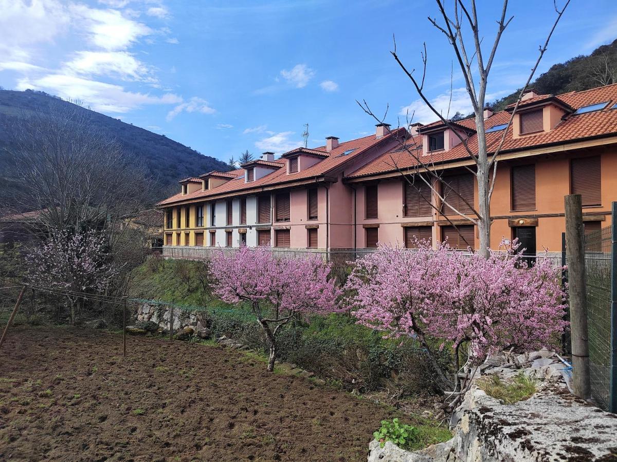 Cabrales Sol Apartment Carrena de Cabrales Bagian luar foto
