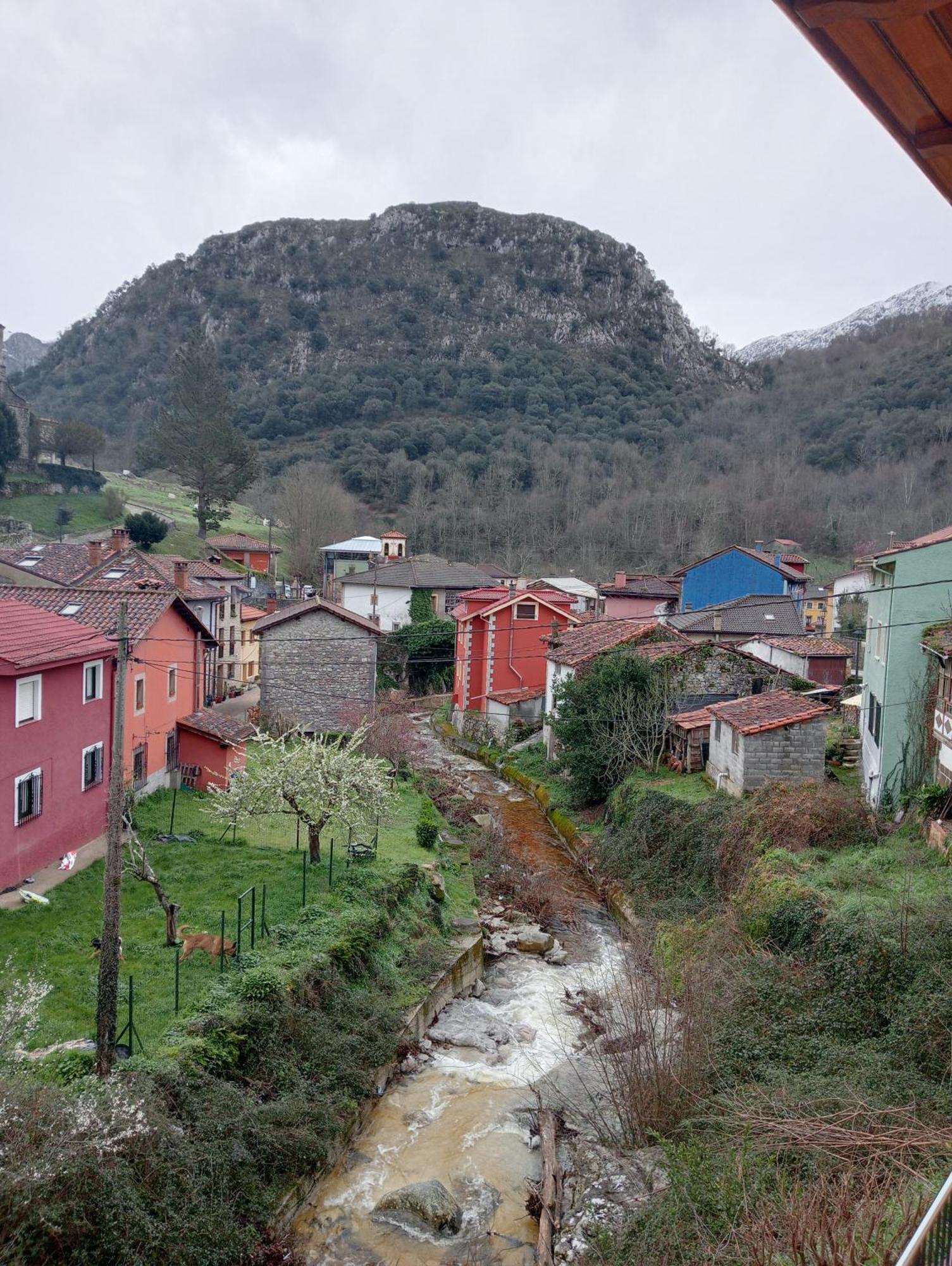 Cabrales Sol Apartment Carrena de Cabrales Bagian luar foto