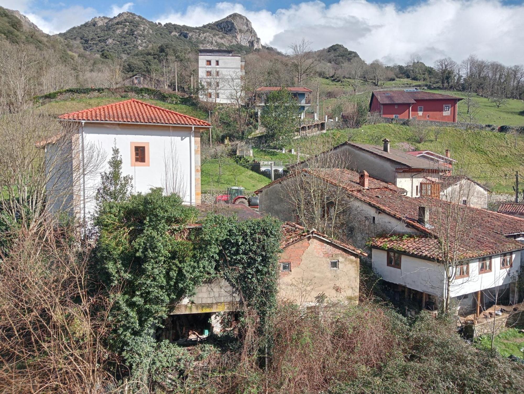 Cabrales Sol Apartment Carrena de Cabrales Bagian luar foto